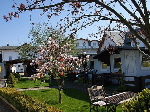 Ostern und Frühling in Ferienanlage mit Osterschmuck auf Baum - Rügen, Pension ANKER