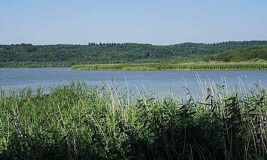 Rundweg Schmachter See, Pension Anker, Binz - Rügen