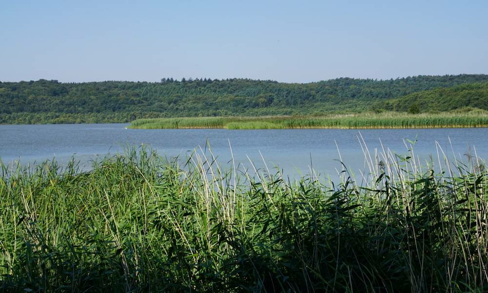 Rundweg Schmachter See, Pension Anker, Binz - Rügen