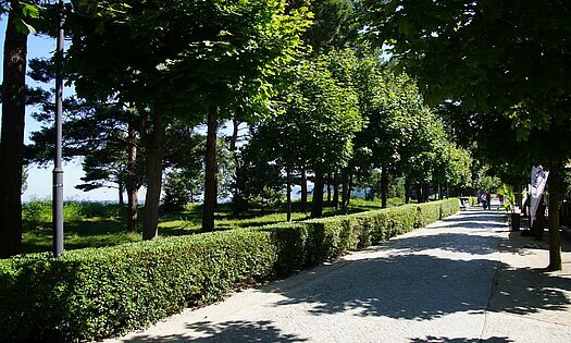 Binzer Strandpromenade - Rügen, Pension ANKER