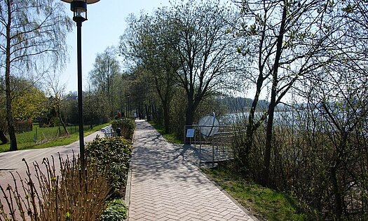 Rundweg Schmachter See im Frühling, Binz - Rügen