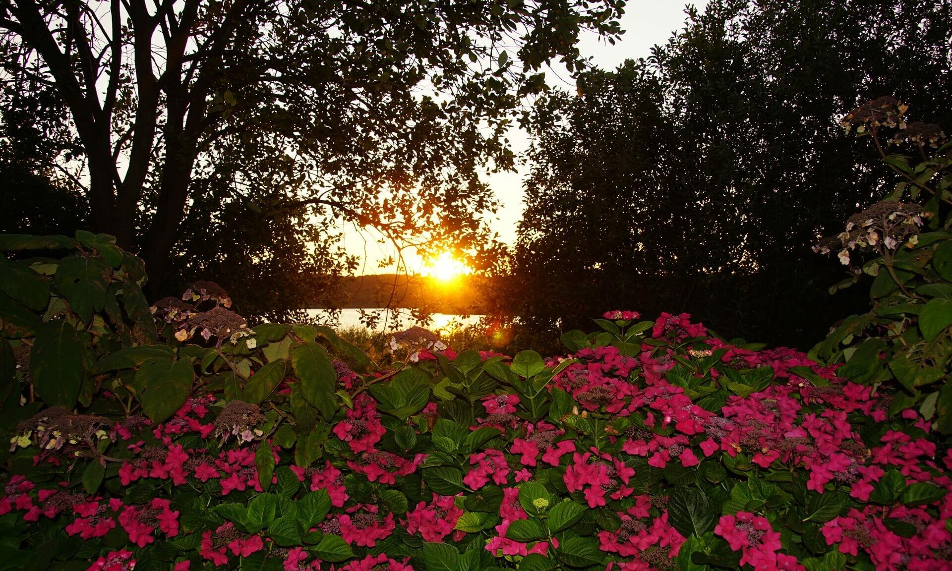 Sonnenuntergang am Schmachter See - Hinterausgang Pension ANKER - Rügen, Binz 
