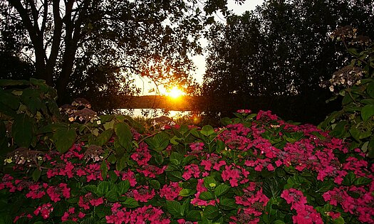 Sonnenuntergang am Schmachter See - Hinterausgang Pension ANKER - Rügen, Binz 