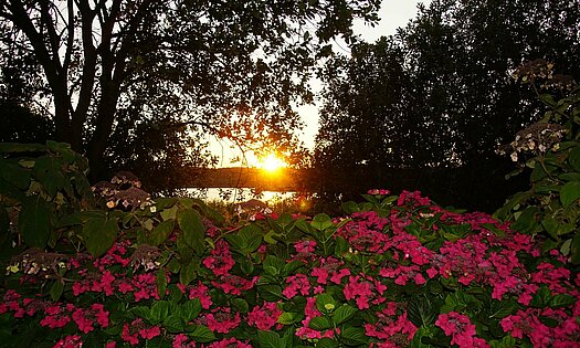 Sonnenuntergang am Schmachter See - Hinterausgang Pension ANKER - Rügen, Binz 