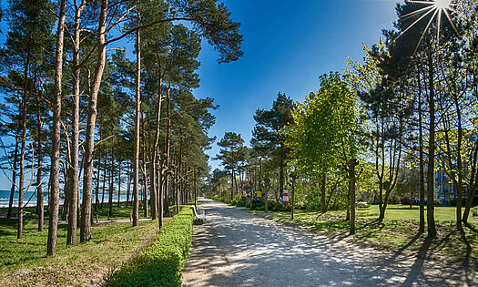 Binzer Strandpromenade menschenleer und Ostseeblick - Pension Anker, Rügen