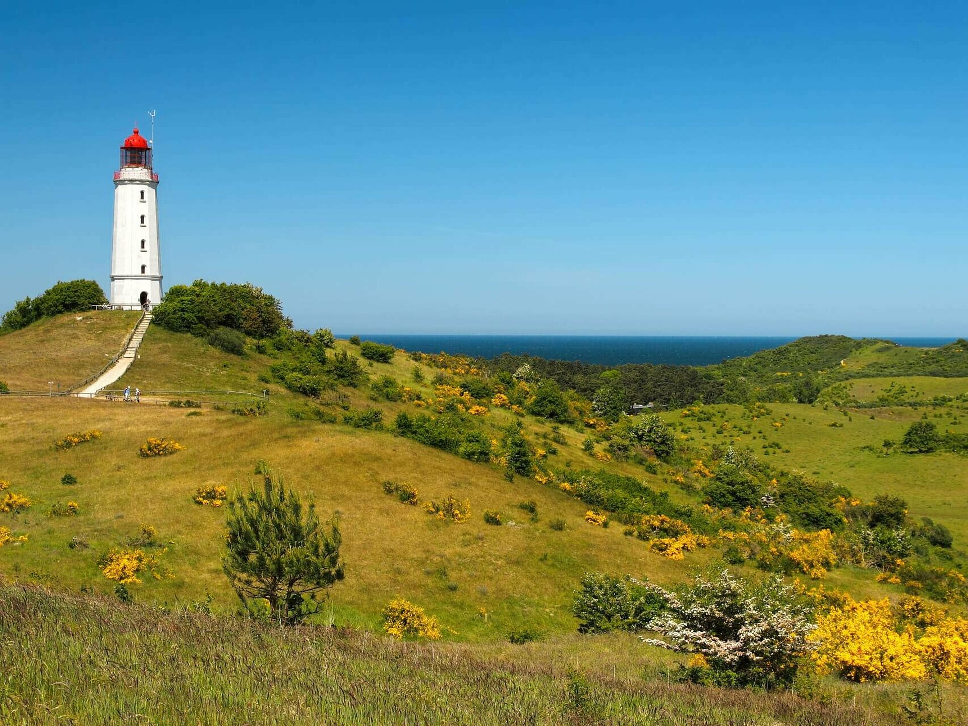 Leuchtturm auf Hiddensee mit Frühlingslandschaft und Meer