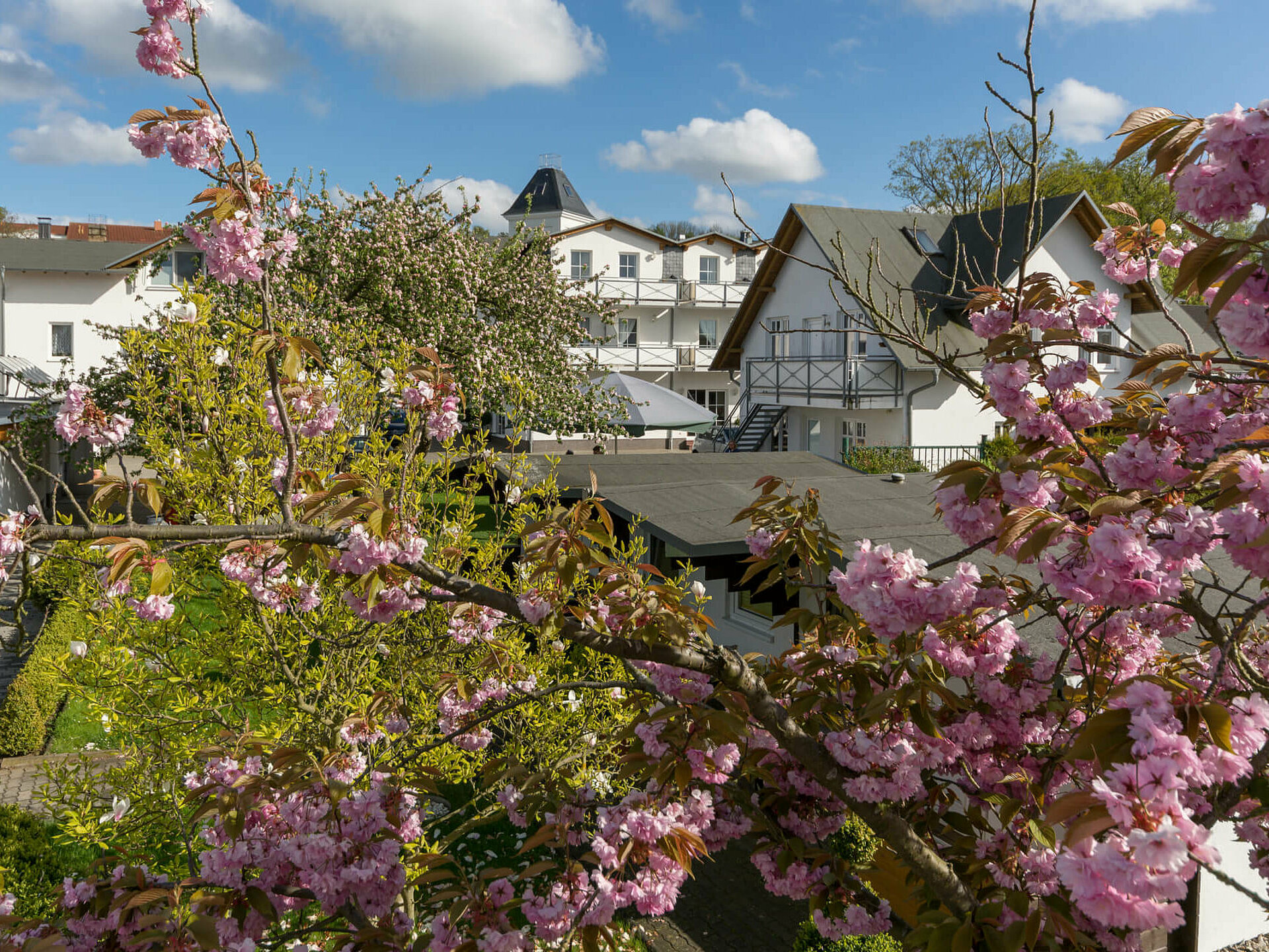 Pensionsgelände Pension ANKER, blühende Bäume und Vordergebäude - Rügen, Binz