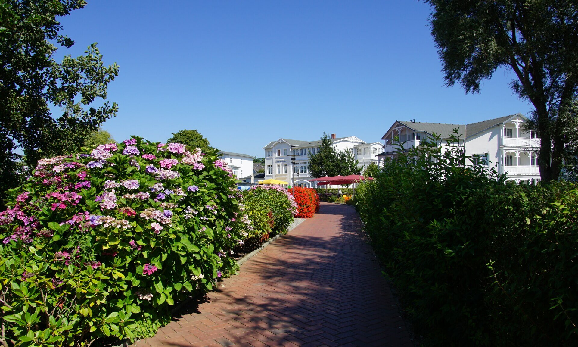 Shore path Schmachter See at the rear exit pension area in summer - Rügen, Binz