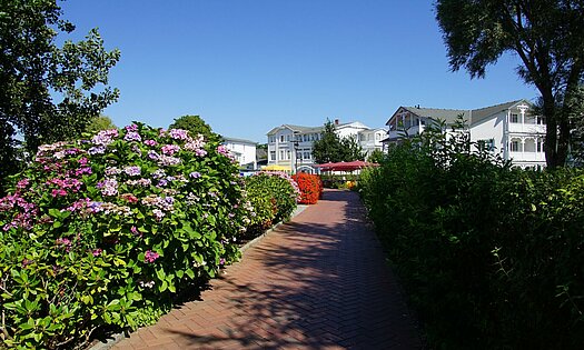Uferweg Schmachter See am Hinterausgang Pensionsgelände im Sommer - Rügen, Binz