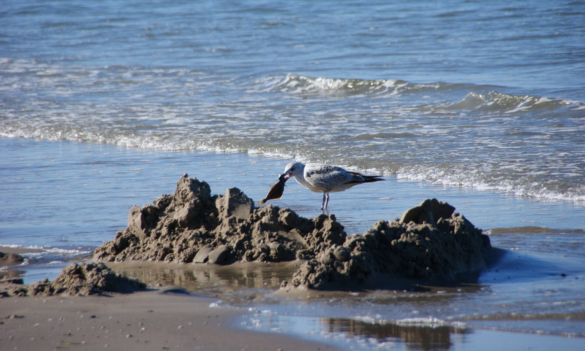 Binzer Strand, Pension Anker, Binz - Rügen