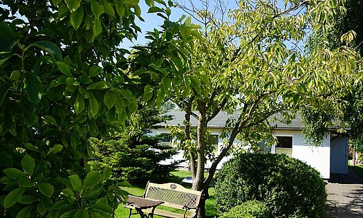 Pensionsgelände, Pension Anker, Binz - Rügen