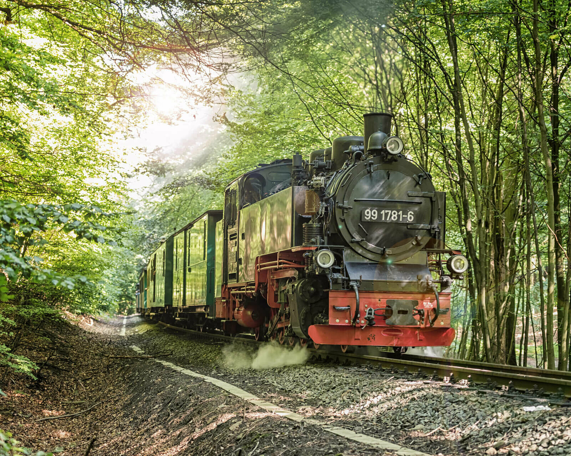 Dampfeisenbahn Rasende Roland im Granitzwald - Pension Anker, Rügen