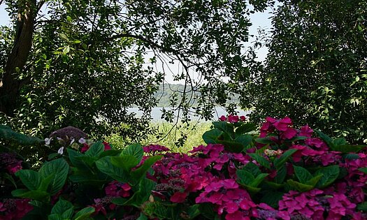 Pensionsgelände & Rundweg, Pension Anker, Binz - Rügen