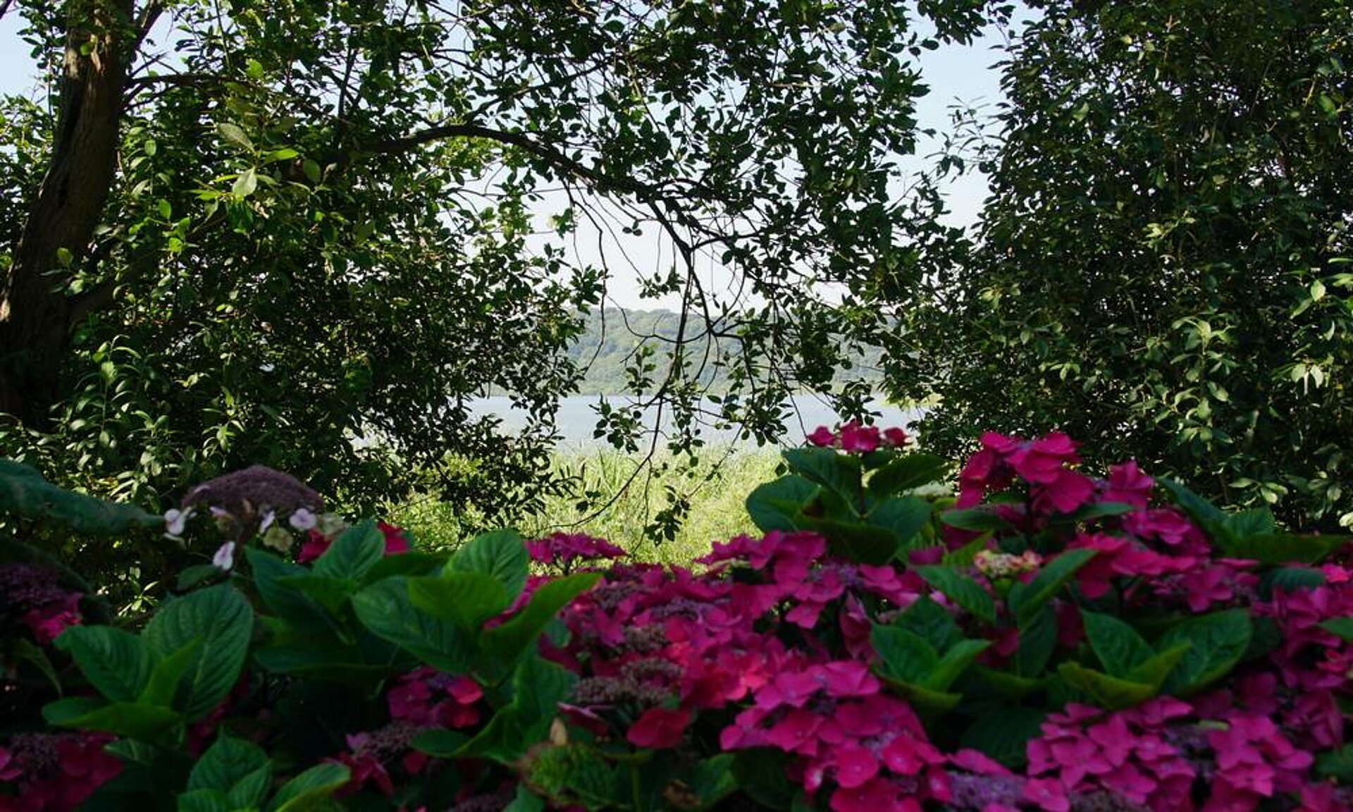 Pensionsgelände & Rundweg, Pension Anker, Binz - Rügen