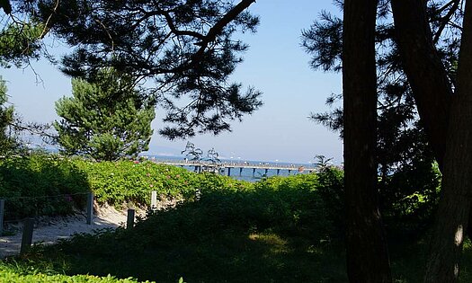 Binzer Strandpromenade zur Seebrücke - Rügen, Pension ANKER