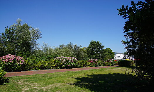 Pensionsgelände, Pension Anker, Binz - Rügen