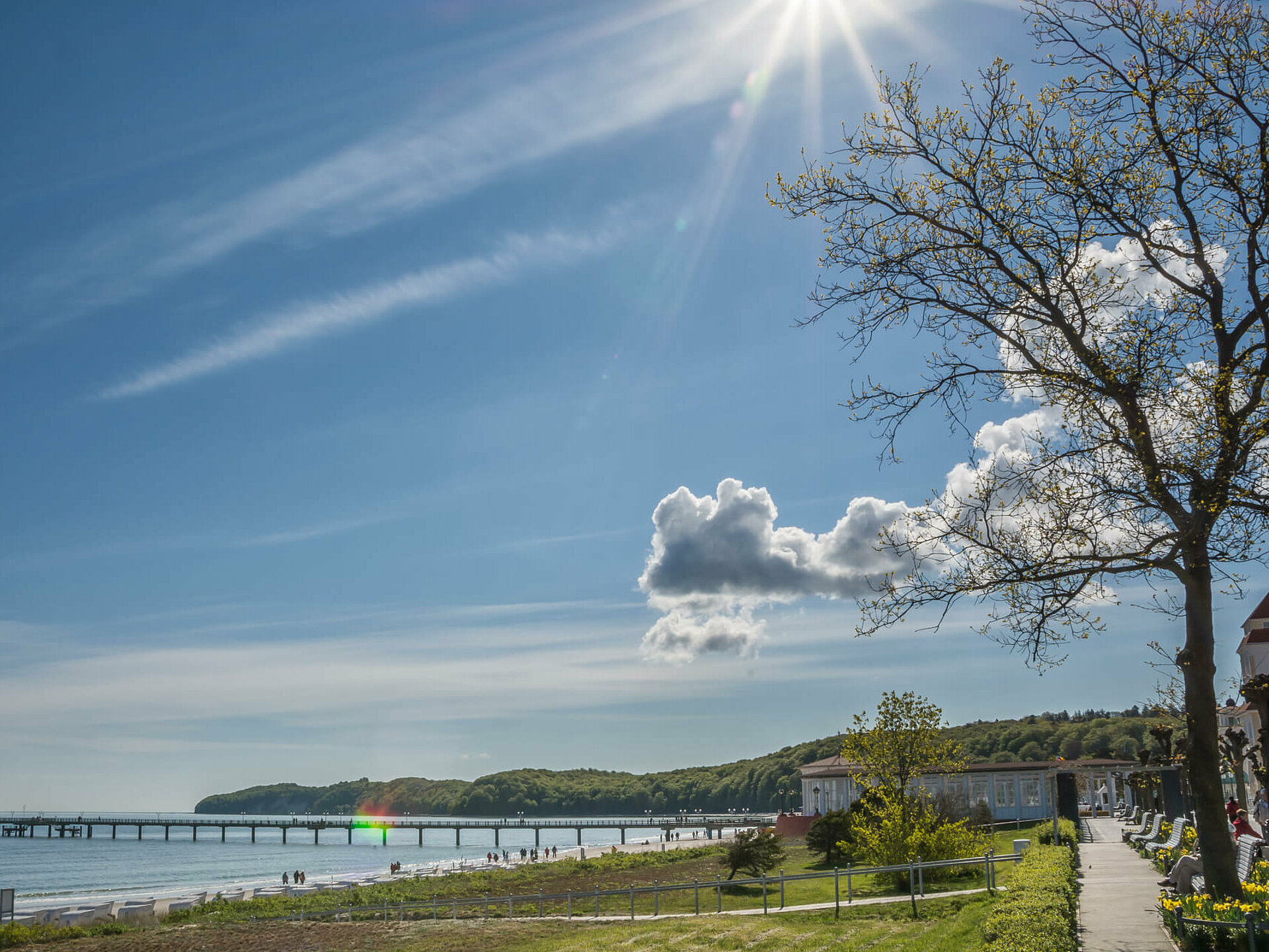 Binzer Strandpromenade mit Blick auf Seebrücke im Frühling - Pension Anker, Rügen