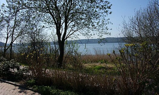 Hinterausgang Pension Anker, Schmachter See - Binz