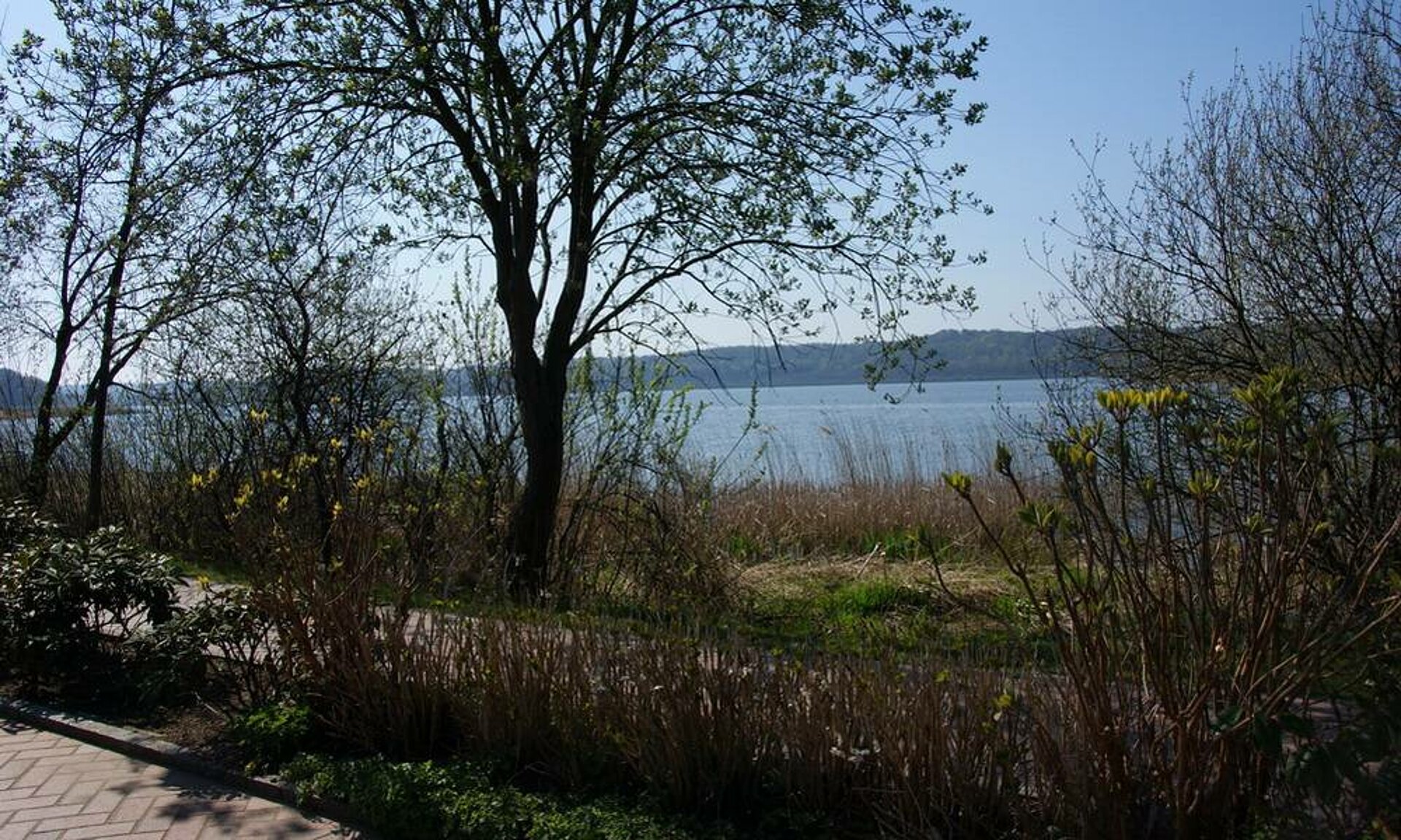 Hinterausgang Pension Anker, Schmachter See - Binz