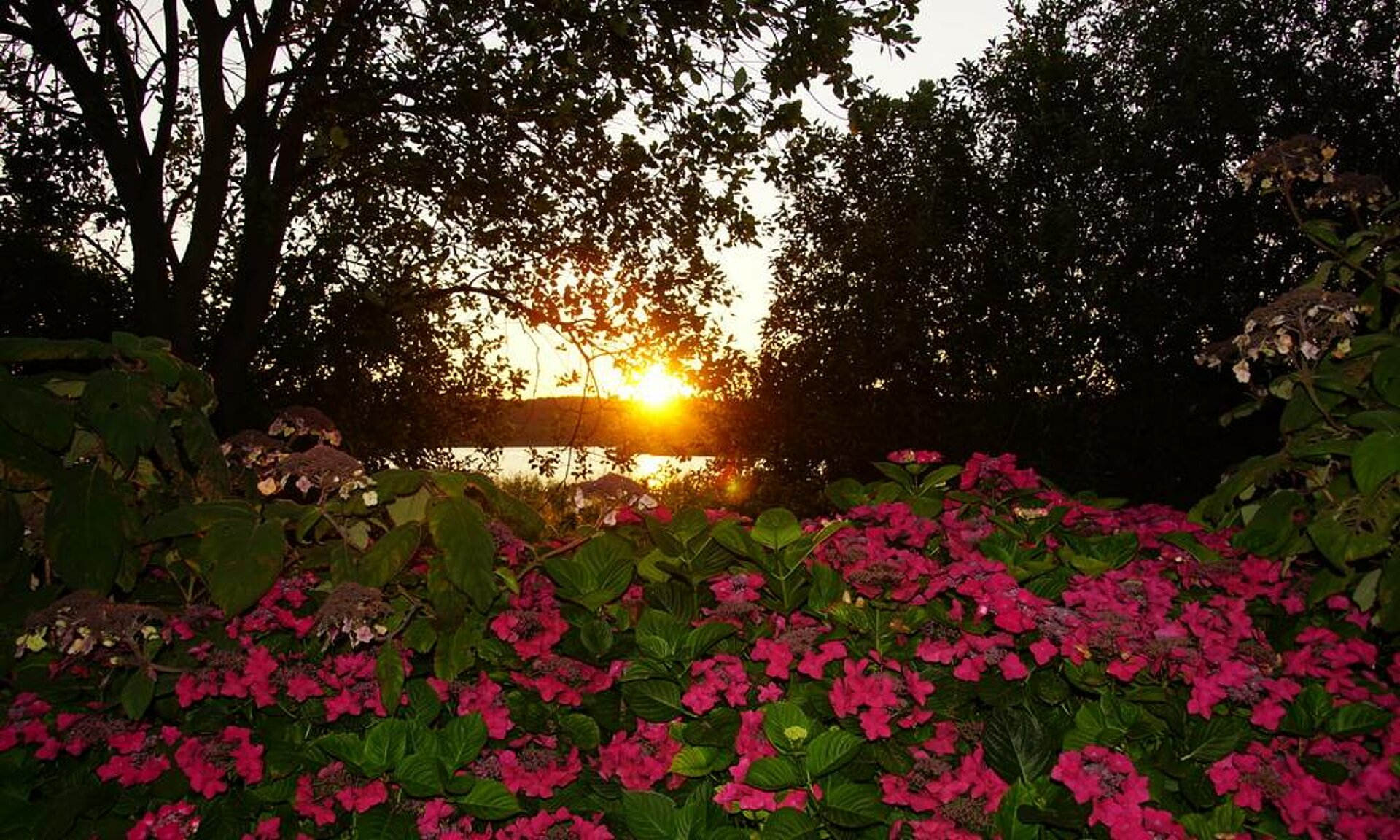 Sonnenuntergang Schmachter See - Rügen, Pension ANKER