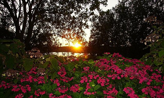Sonnenuntergang Schmachter See - Rügen, Pension ANKER